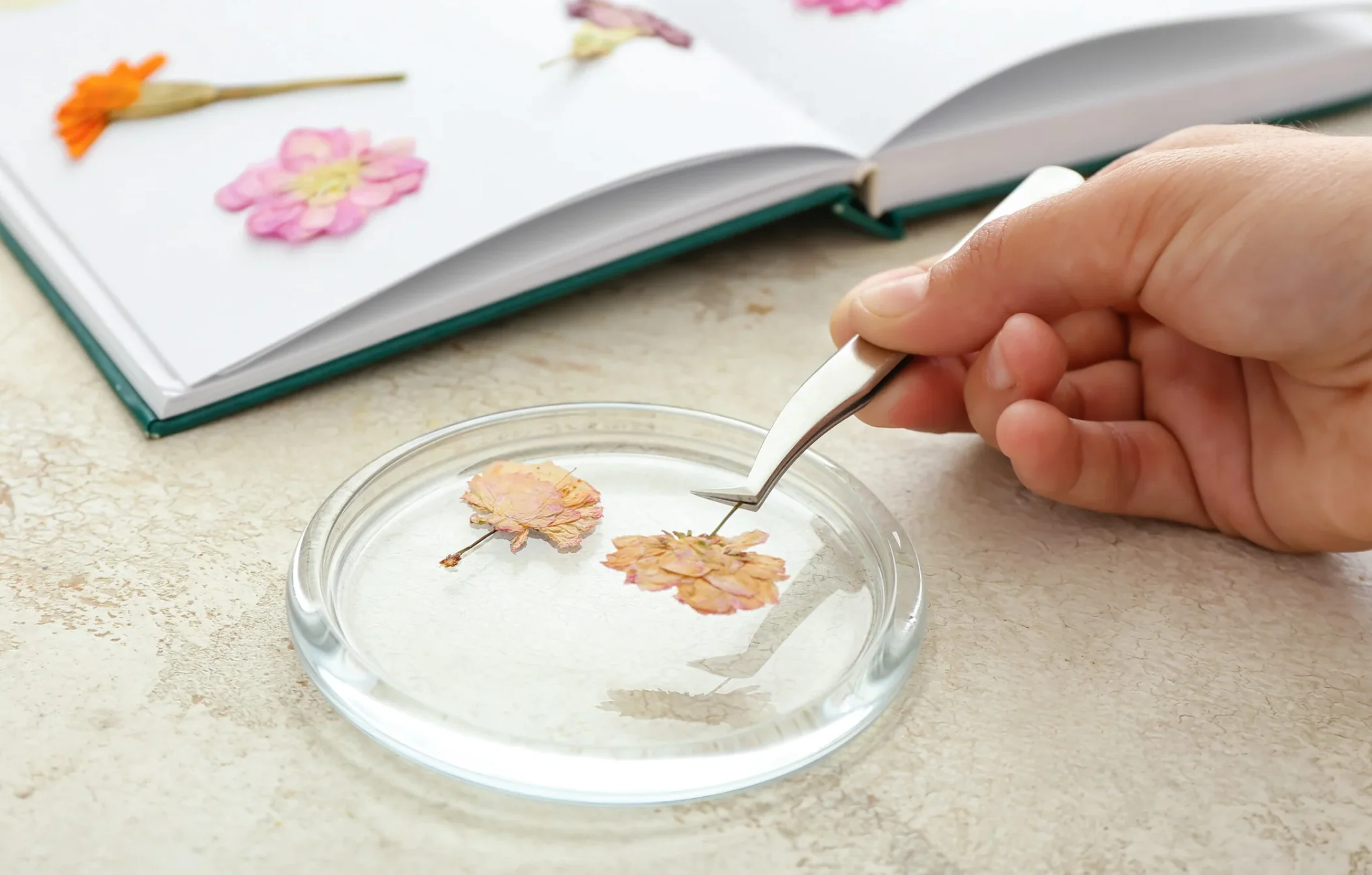 Preserve Your Most Beautiful Memories