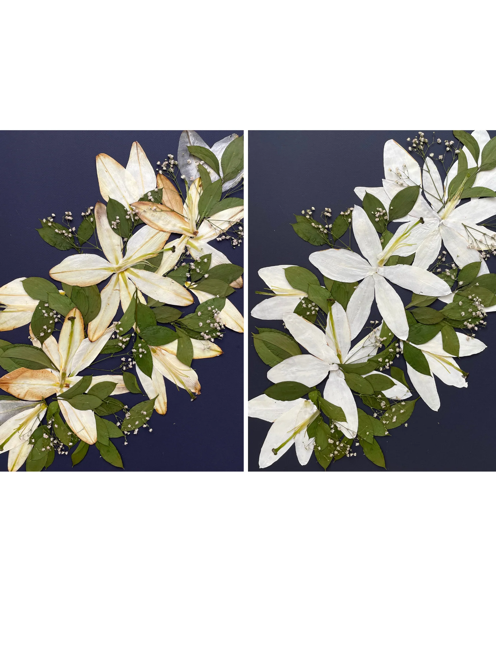 Preservation Service Add-On